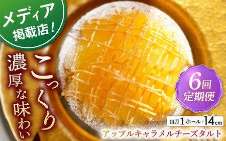 【全6回定期便】 アップルキャラメルチーズタルト(14cm)【心優　－Cotoyu Sweets－】[KAA552]