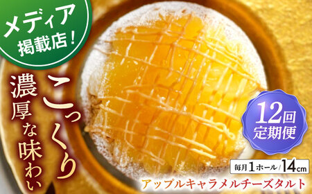 【全12回定期便】アップルキャラメルチーズタルト(14cm)【心優　－Cotoyu Sweets－】[KAA553]