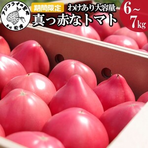 【A9-014】期間限定　真っ赤なトマトわけあり大容量6kg～7kg