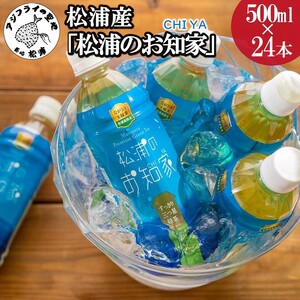【B3-060】松浦産「松浦のお知家」お茶ペットボトル500ml×24本