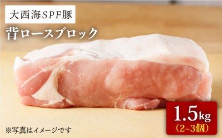 【訳あり】【肉塊で肉会】大西海SPF豚 背ロースブロック 計1.5kg（2?3個）＜大西海ファーム＞[CCY027]