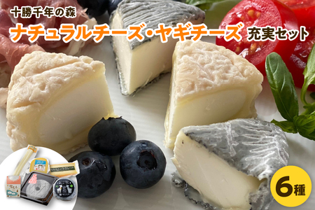 十勝千年の森 ナチュラル　チーズ・ヤギチーズ充実セット