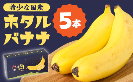 【とても希少な国産バナナをあなたへ！】hotaru バナナ 5本 / ばなな 果物 フルーツ / 南島原市 / hotaru[SFA002]