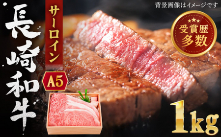 長崎和牛 サーロイン ステーキ 約1.0kg【焼肉おがわ】[QBI004]