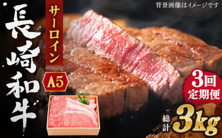 【全3回定期便】長崎和牛 サーロイン ステーキ 総計3.0kg (1.0kg/回)【焼肉おがわ】[QBI012]