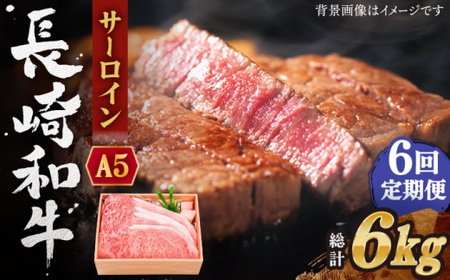 【全6回定期便】長崎和牛 サーロイン ステーキ 総計6.0kg (1.0kg/回)【焼肉おがわ】[QBI013]
