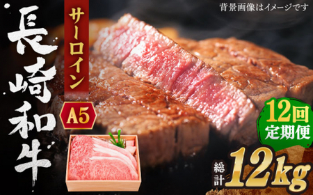 【全12回定期便】長崎和牛 サーロイン ステーキ 総計12.0kg (1.0kg/回)【焼肉おがわ】[QBI014]