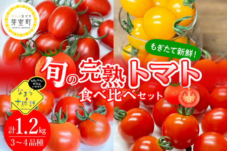 北海道十勝芽室町 なまら十勝野の旬の完熟トマトを3～4品種詰め合わせた食べ比べセット me001-013c