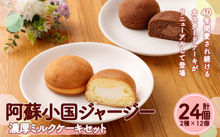 阿蘇小国 ジャージー 濃厚 ミルクケーキ 2種24個 セット ( クリーム 12個 チョコ 12個 ) スイーツ デザート