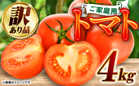 【先行予約】【訳あり】八代産 トマト 4㎏ 新鮮 野菜 とまと