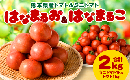 【順次発送】 熊本県産トマト 1kg ＆ ミニトマト 1kg  合計2kg はなまるお ＆ はなまるこ
