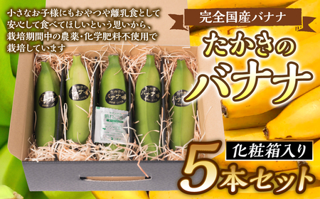 【先行予約】 たかきのバナナ 化粧箱 入り 5本 セット 【2024年6月上旬より順次発送】