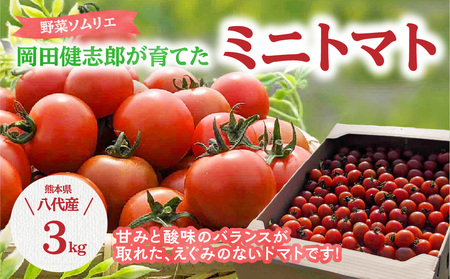 野菜ソムリエ岡田健志郎が育てた ミニトマト 3kg