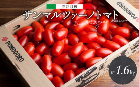 完熟収穫 サンマルツァーノトマト 約1.6kg (800g×2箱) 八代市産 サンマルツァーノリゼルバ トマト