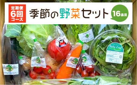 【定期便6回】 季節の野菜セット 16品目