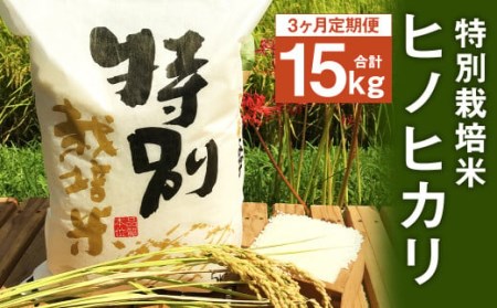 【3ヶ月定期便】 特別栽培米 ヒノヒカリ 5kg