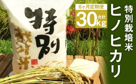 【6ヶ月定期便】 特別栽培米 ヒノヒカリ 5kg
