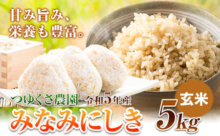 米 令和5年産 みなみにしき 玄米 5kg 熊本県 荒尾市産 米 玄米 つゆくさ農園 《30日以内に出荷予定(土日祝除く)》 米 こめ コメ 玄米 米
