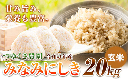 米 令和5年産 みなみにしき 玄米 20kg 熊本県 荒尾市産 米 玄米 つゆくさ農園 《30日以内に出荷予定(土日祝除く)》 米 こめ コメ 玄米 米