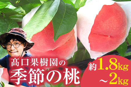 【先行予約】【数量限定】桃 季節のおすすめ 約1.8kg～2kg 熊本県荒尾市産 桃 高口果樹園《7月上旬-8月末頃出荷》