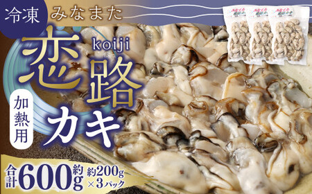 加熱用 冷凍 みなまた 恋路カキ 600g (200g×3P) 牡蠣 海鮮 海産物 水俣市