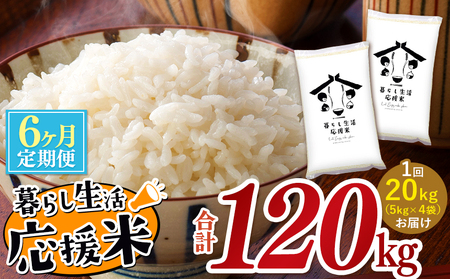 【定期便6回】 毎日食卓・米農家 応援米 20kg ( 5kg ×4袋)  × 6回 熊本県産 お米 白米