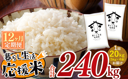 【定期便12回】 毎日食卓・米農家 応援米 20kg ( 5kg ×4袋)  × 12回 熊本県産 お米 白米