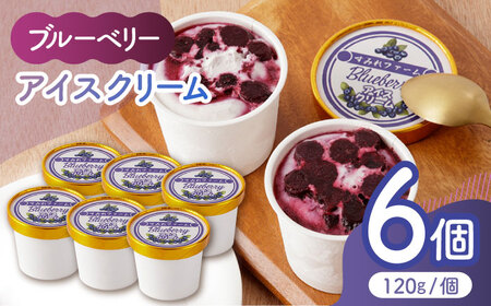 ブルーベリーアイスクリーム 6個セット 【すみれファーム】[ZEP029]