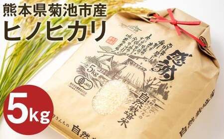 【通常パック】熊本県菊池産 ヒノヒカリ 白米 5kg 七城物語 高野さんちの自然栽培米 精米