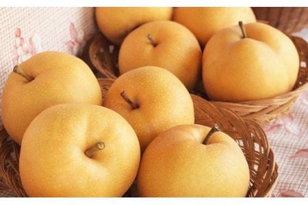 菊池市産 秋月梨 約5kg なし 果物【2021年8月上旬～順次発送予定】