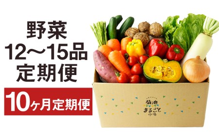 【定期便10回】野菜 12品～15品 詰め合わせ 10ヶ月定期便【メロンドーム】