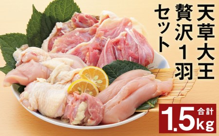 熊本県産 天草大王 贅沢 1羽セット 計1.5kg 3種 もも むね ささみ 鶏肉 国産 地鶏