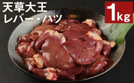 熊本県産 天草大王 レバー・ハツ 1kg 鶏肉 国産 地鶏