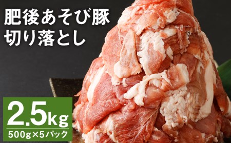 肥後 あそび豚 切落し 計2.5㎏（500g×5パック） 国産 豚肉