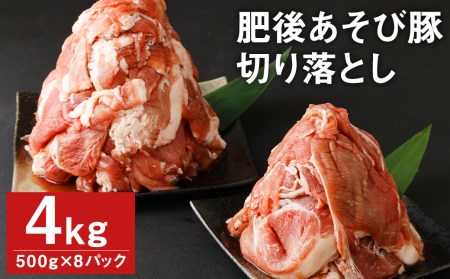 肥後 あそび豚 切落し 計4㎏（500g×8パック） 国産 豚肉