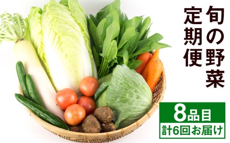 【定期便6回発送】旬の野菜便 野菜（8品） キャベツ 菊芋 ミニトマト【養生市場】