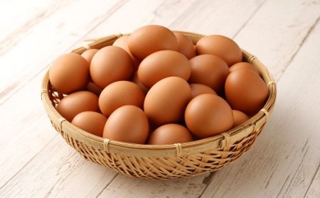 【6回定期便】 にんにくたまご 60個×1ケース 毎月(計6回) たまご 卵