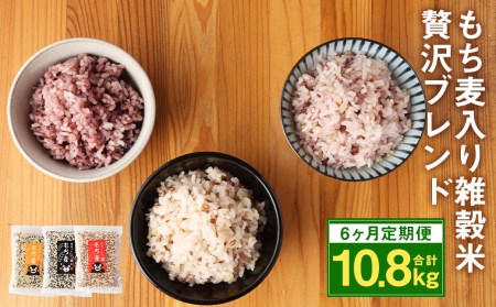【6ヶ月定期便】 熊本県 菊池産 もち麦入り雑穀米 贅沢ブレンド 計10.8kg 600g×3種