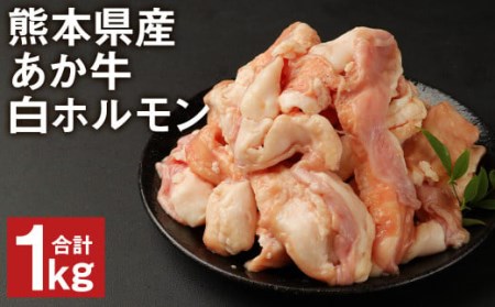 熊本県産 あか牛 白ホルモン(小腸) 希少部位 1kg(250g×4)