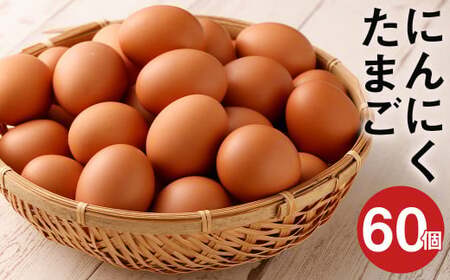 にんにくたまご 60個 卵 にんにく卵 鶏卵 熊本県産 九州産 冷蔵 送料無料