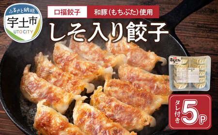119-2 口福餃子「和（もち）豚」使用　しそ入り餃子（冷凍生）_V19-0002