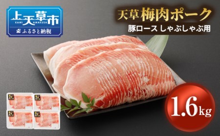 熊本県産 天草梅肉ポーク 豚ロース しゃぶしゃぶ用 1.6kg 冷凍