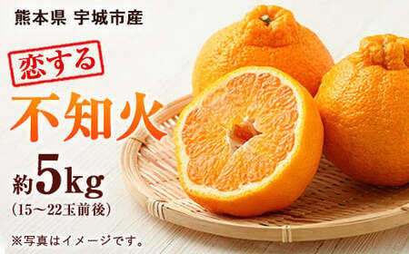 【2024年3月下旬～順次発送予定】恋する 不知火 約5kg（15～22玉）御舩果樹園 果物 柑橘