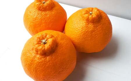 【2024年3月上旬より順次発送予定】宇城市産 不知火 木村果樹園 5kg 柑橘 果物