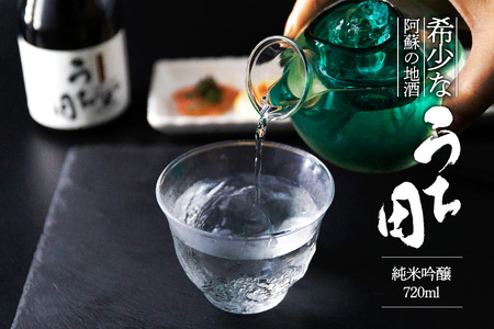 日本酒 うち田 純米吟醸 熊本限定販売 720ml 2本セット