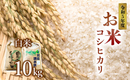 令和5年産 阿蘇のお米 コシヒカリ10kg 1袋 白米