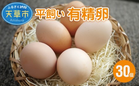 S061-004_平飼い 有精卵 30個 卵 たまご