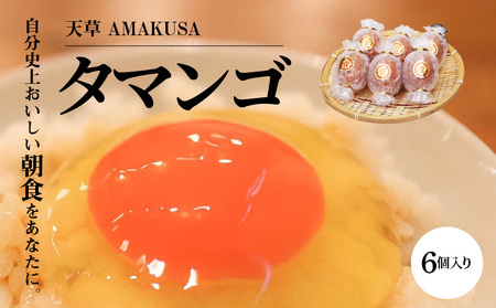 S038-001A_天草 タマンゴ 6個 卵