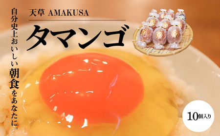 S038-004A_天草 タマンゴ 10個 卵