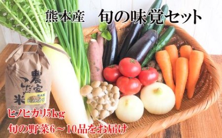 旬の味覚セット お米(ヒノヒカリ) 5kg・熊本の新鮮お野菜(6～10品目) (詰め合わせ)